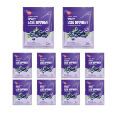 CJ프레시웨이 이츠웰 맛있는 냉동 블루베리, 10개, 1kg