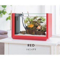 帥哥水族【KOTOBUKI】超白缸套缸 (黑/白/紅) 側濾魚缸 觀賞魚缸 水族箱, 紅色, 1個