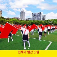 부적 잉크 진사 물감, 순수 레드 30x45+45cm, 1색, 1L