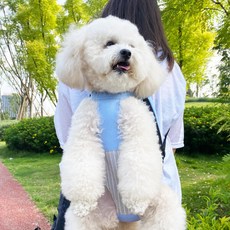 아트박스/혀니별 혼시티 강아지 반려견 요술 가방 포대기, 1개