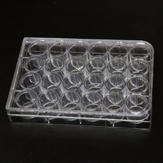 24홀 다용도 홈판 ( 5P ) 실험용 플레이트