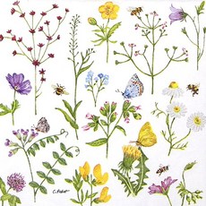 야생화 냅킨 K-19-012, 믹스, 1세트, 5개