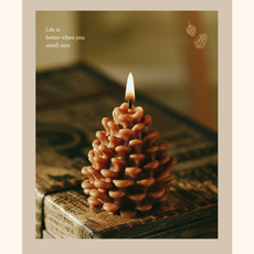 香氛蠟燭 居家香氛 精緻盒裝 舒緩身心 提升生活品味, 1件, 62ml, 高松果_棕色_絲絨玫瑰