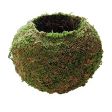 HAIMINGJUN 크리 에이 티브 이끼 공 꽃 냄비 화분 분재 식물 홀더 홈 정원, 6cm, 녹색