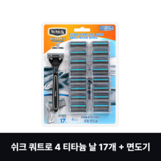 쉬크 쿼트로4 티타늄 기획팩 기1 + 날17입, 1개