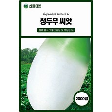 아시아종묘 청두무 씨앗 2000립 가을 김장무씨 종자, 1개