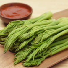 산지직송 제철 봄나물 노지 참두릅 500g 1kg, 1개