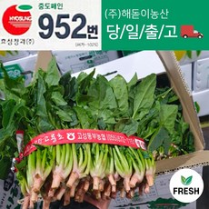 <해돋이농산> 남해 고성초 섬초 노지 시금치 1단 3단 6단 12단, 3단 (2.5kg~3kg 내외), 1개