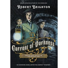 (영문도서) Current of Darkness: Desire and Deceit in the Gilded Age Hardcover, Ashwood Press, English, 9798987696446