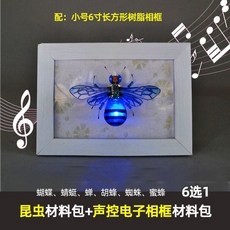 곤충로봇 DIY 재료 학생 혁신 전자 작품 경연 대회, 전자 곤충 재료 패키지 + 작은 음성 인식 사진 프레임