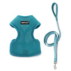 SB수빈스토어 간편착용 하네스 셋트 아쿠아블루 XL 강아지몸통줄 강아지목줄 앞섬방지하네스