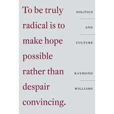 Politics and Culture Paperback, Verso, English, 9781788738637