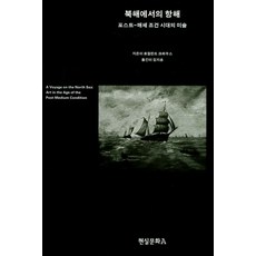 북해에서의 항해:포스트-매체 조건 시대의 미술, 현실문화A, 로절린드 크라우스 저/김지훈 역
