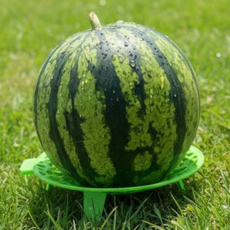 수박 받침대 농업용 원예용 지지대 과일 받침대 작물 실용적 다용도 가드닝 농기구 건조대 정리대 싱크대