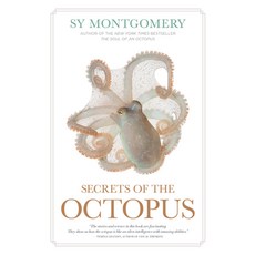 (영문도서)Secrets of the Octopus Paperback, National Geographic Society, English, 9781426225482