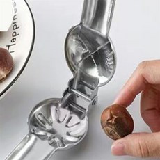 밤 칼질 칼 칼집내기