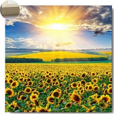 럭스미 돈들어오는 해바라기 액자 풍수지리 캔버스 그림, 썬셋 해바라기