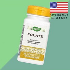 네이처스 웨이 엽산 폴레이트 폴릭 애씨드 800mcg DFE 100캡슐 Nature's Way Folate 100 Capsules, 1개