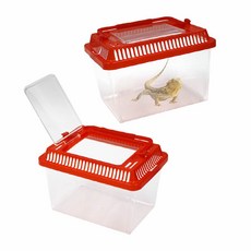 곤충채집통 미니 달팽이키우기 투명채집통