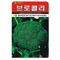 브로콜리 씨앗 종자 씨, 3개