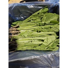 약수농장 국내산 열무4kg 내외, 1박스