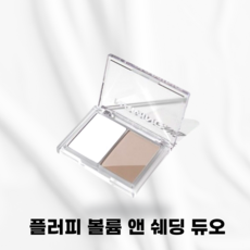 네이밍 플러피 볼륨 앤 쉐딩 듀오 9.8g 2 color, 1개, 클리어 쿨 그레이