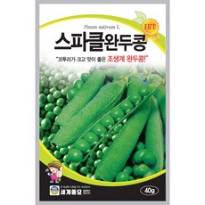 세계종묘 스파클 완두콩 씨앗 40g, 1개