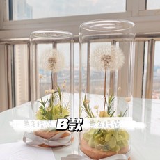 許願瓶 吹不散 蒲公英 乾燥花 聖誕節禮物 永生花 手工玻璃罩 生日禮物, B款