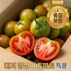 [더밭 특품] 대저 짭짤이 토마토 3S-2S 프리미엄 고당도 산지직송, 1박스, 대저 짭짤이 토마토 프리미엄 2S-S 1kg