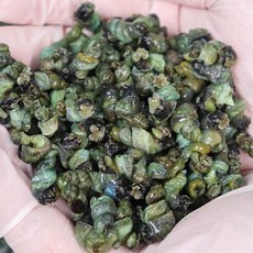 직접 삶아서 손질한 신선한 강원도 깐다슬기 200g(다슬기 70g+육수 130g), 1개, 200g (깐다슬기 70g + 육수 130g)