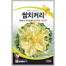 세계종묘 쌈치커리 씨앗 1500립, 1개