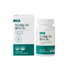 플러스엑스팜 마그네슘 350 플러스 B6 12개월분 (총 360정), 360정, 1개
