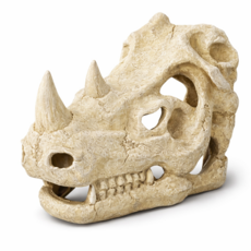 렙티주 라이노스컬 은신처 코뿔소대가리, 중 사이즈, 1개, 혼합