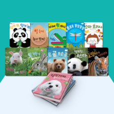 [전집대여][최신판] 자연이랑 프리미엄, 15일 전체 대여