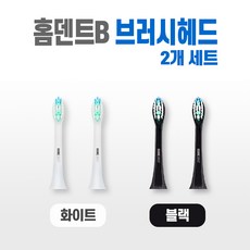 비티일렉스 홈덴트B 음파 전동 칫솔, 브러시헤드(칫솔모)2개세트(블랙)