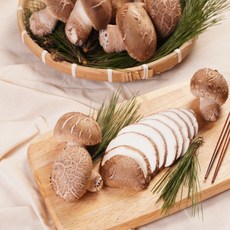 노씨고집 산지직송 국내산 송화고버섯, 1개, 못난이 500g