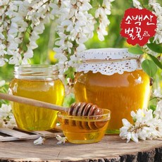 [소백산벌꿀]소백산 자락 사양 아카시아벌꿀(2.4kg), 상세 설명 참조, 1개