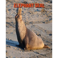 Elephant Seal: Fun Facts & Cool Pictures Paperback, Independently Published, English, 9798564345958