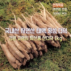[산지직송] 국내산 자연산 태백. 횡성 고랭지 특상품 토종 품질좋은 햇 산더덕 흙더덕 생더덕 자연재배 선물용 가정용, 1개, 태백. 횡성 고랭지 특상품 토종 햇 산더덕 1kg