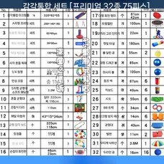 감통 교구 체육 감각 훈련 놀이 밸런스 실내 114종 수업 게임, 32개 75세트 (색상랜덤)
