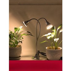 태닝 램프 자외선 테닝기 피부케어 태닝기 셀프 선탠, 풀 스펙트럼 60w 2 조광 헤드 B, 기본 모델명/품번
