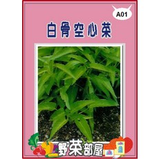 野菜部屋 白骨空心菜種子 A01 家庭園藝 陽台盆栽 新鮮蔬菜種子, 1包