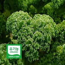 초록초록팜 국내산 유기농 곱슬 케일 2kg 신선채소 산지직송 샐러드용 즙용 건강 야채 친환경 ZU, 1