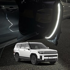 자이포라 차량 LED 도어 비상 경고등 워닝 차폭등 전방미등 교체형, 모듈만 추가(부속품X)/도어라이트모듈(1개)