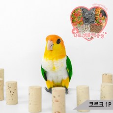 뜯기좋은 코르크 1P 앵무새 입질 장난감 스트레스해소