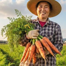이현숙농부 제주도 구좌읍 고당도 햇 흙당근, 1박스, 중 2kg