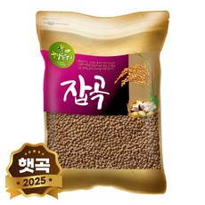 현대농산 갈색 렌틸콩 5kg 렌즈콩, 1개