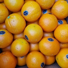 수입과일 M 블랙라벨 오렌지 5입 [P], 없음