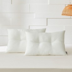 통째로 빨아쓰는 이지넥 경추베개솜 1+1세트, 없음