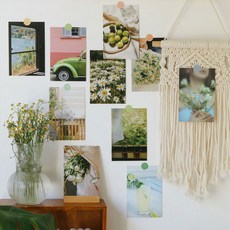 벽장식 소품 인테리어 벽꾸미기 감성 엽서 데코 엽서 세트 모음 엽서 10p + 스티커 세트, 그린(Greenery Garden)